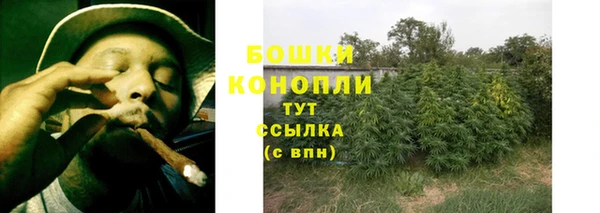 mdpv Вяземский