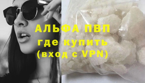 дживик Вязьма