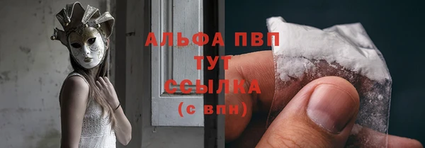 дживик Вязьма