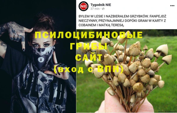 каннабис Горно-Алтайск