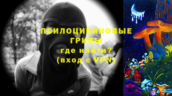 mdpv Вяземский