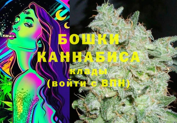mdpv Вяземский