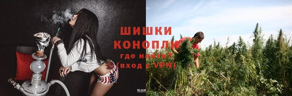 тгк Горняк