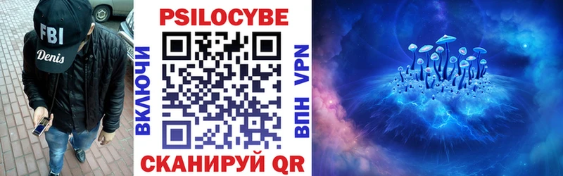 Купить закладки Анжеро-Судженск Галлюциногенные грибы Psilocybine cubensis